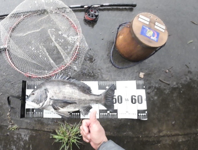 チーム風様のレポート