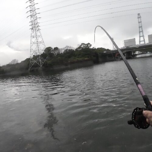 チーム風様のレポート