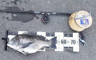 チーム風様のレポート