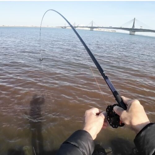 チーム風様のレポート