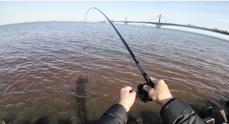 チーム風様のレポート