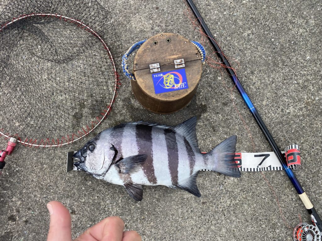 nomsan様のレポート