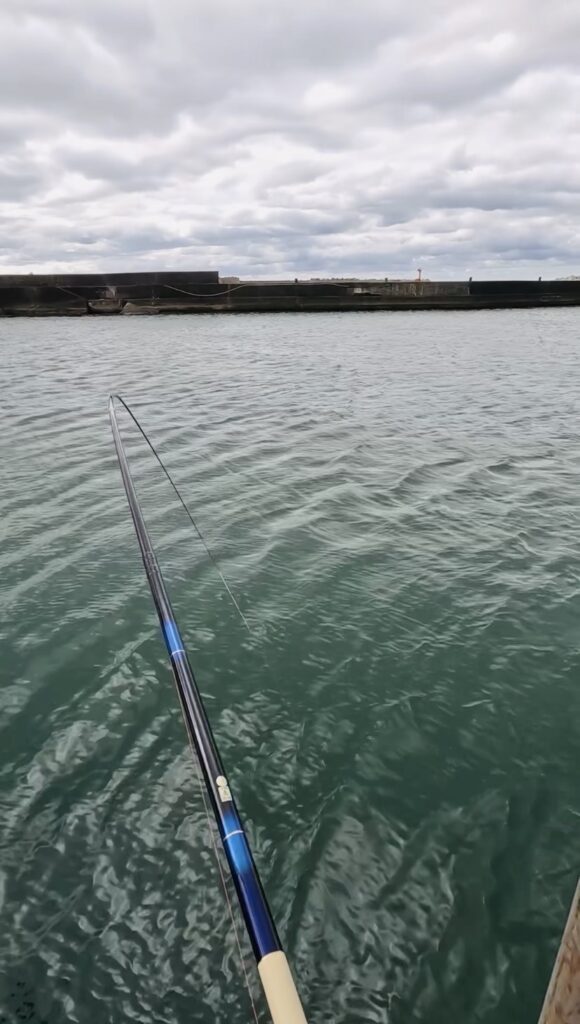 nomsan様のレポート