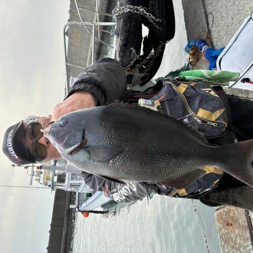 T＆A白澤政記様のレポート