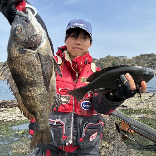 T＆A白澤政記様のレポート