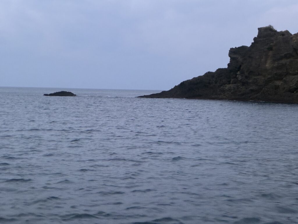 T＆A白澤政記様のレポート