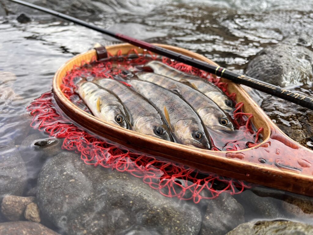 渓s’custom様のレポート