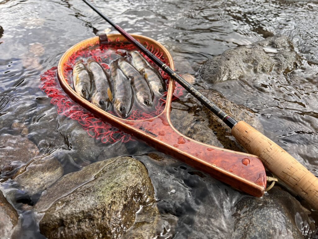 渓s’custom様のレポート