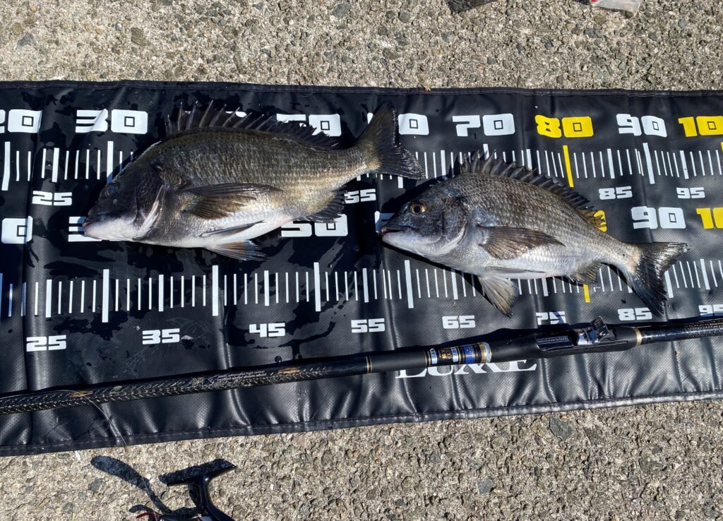 yakisoumenn様のレポート