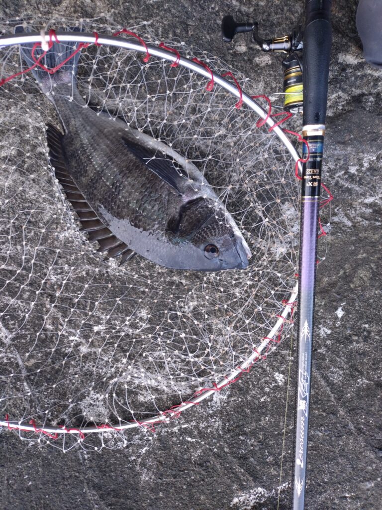 ゆーすけ様のレポート