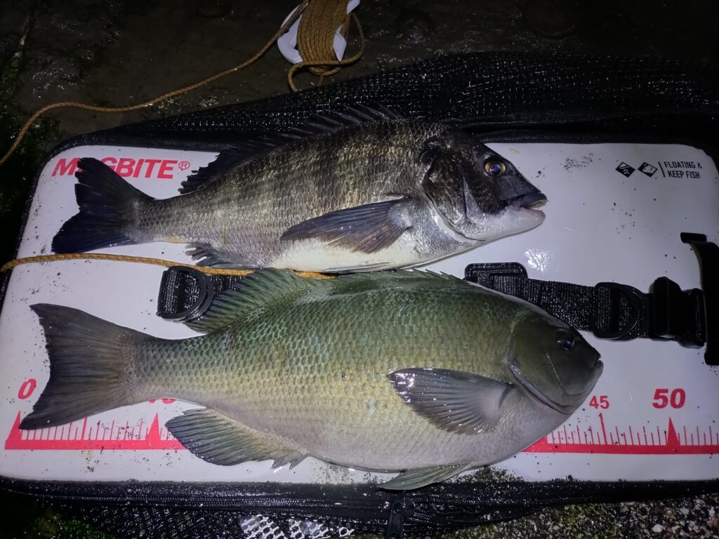 ゆーすけ様のレポート