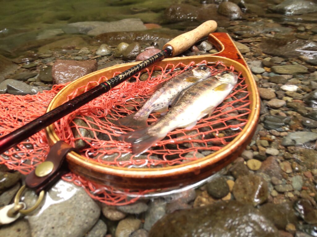 渓s’custom様のレポート