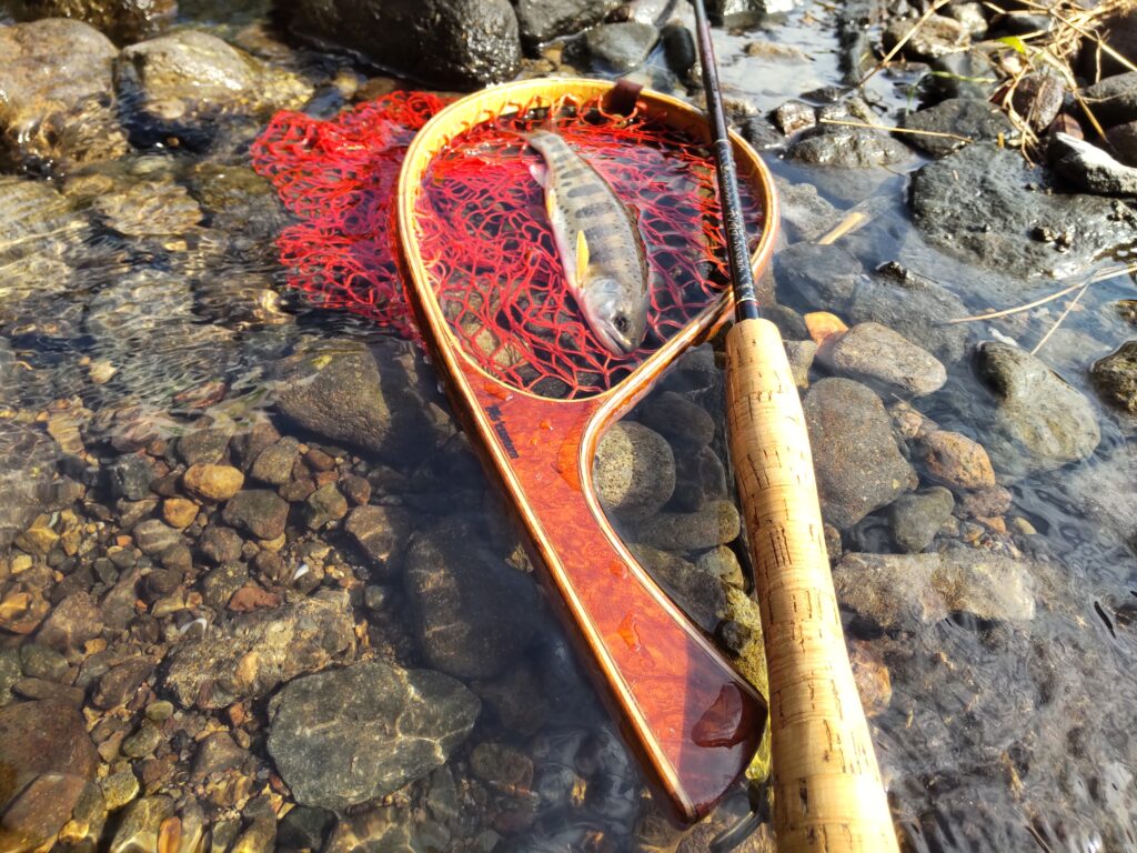 渓s’custom様のレポート