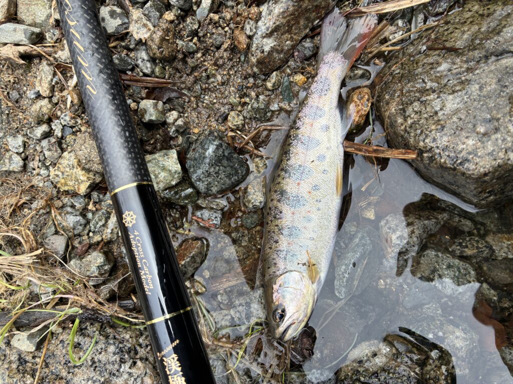 T＆A白澤政記様のレポート