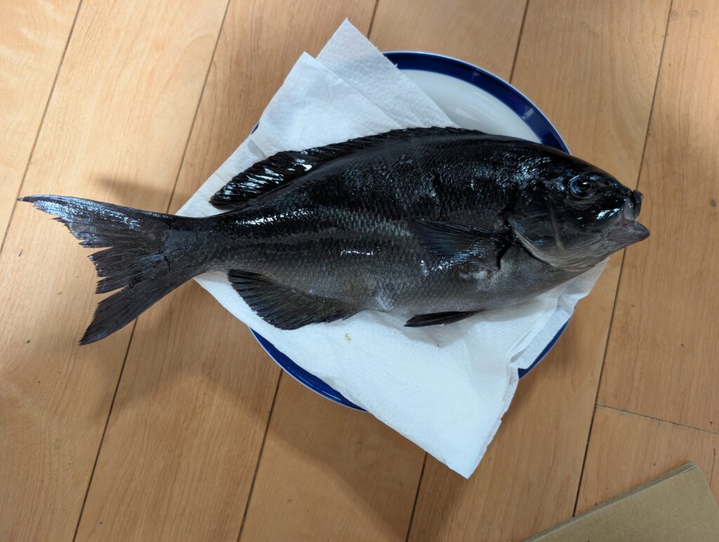 ひろちゃん様のレポート