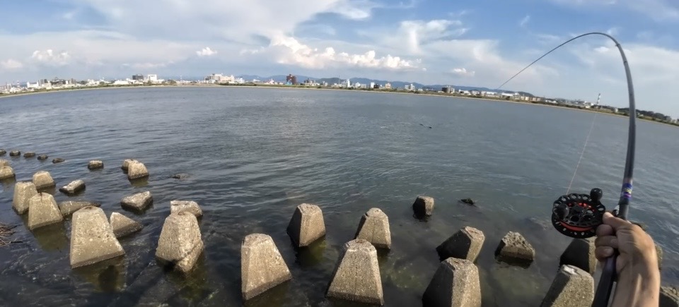 チーム風様のレポート