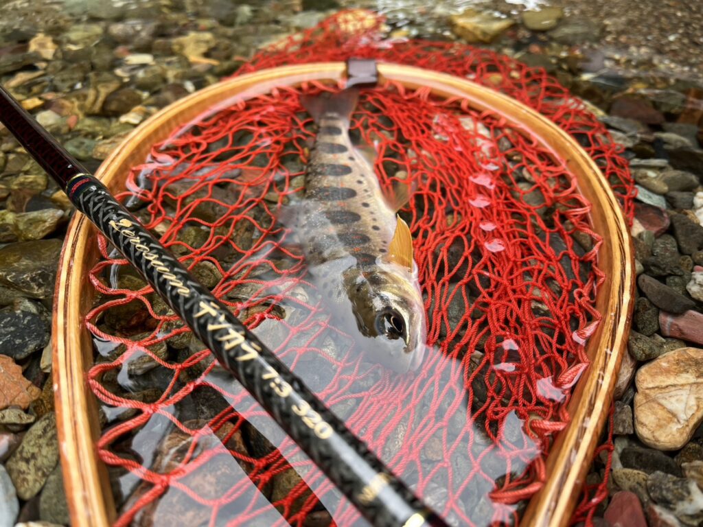 渓s’custom様のレポート