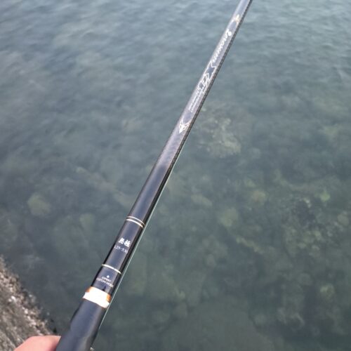 一ツ谷英輝様のレポート